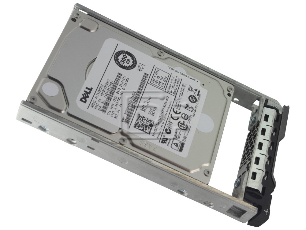 Dell 3419874 300 GB 10,000 RPM Serial Attached SCSI Internal Hard