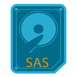 SAS Hard Disk Drives 