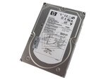 HEWLETT PACKARD 396614-001 SCSI Hard Drive