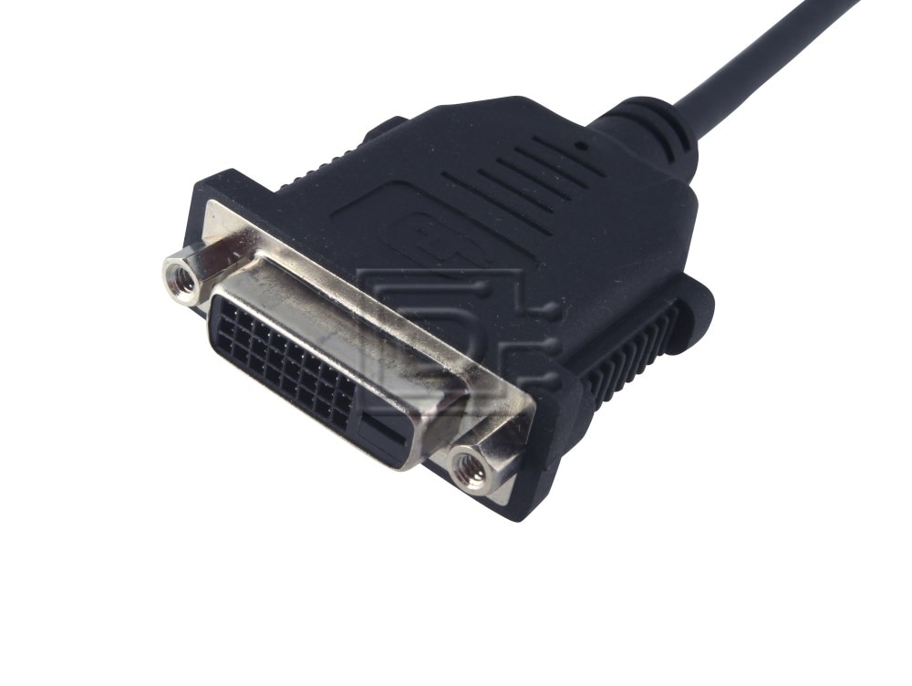 PNY TECHNOLOGIES 91008580B Displayport DVI Adapter Image 2 image