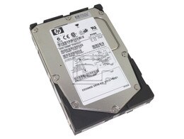 HEWLETT PACKARD A7213-69001 SAS Hard Drives