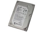 Seagate ST250DM000 1BC141-300 SATA Hard Drive