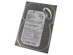 Seagate ST3160212A IDE ATA/100 Hard Drive