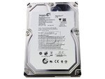 Seagate ST32000542AS SATA Hard Drive