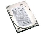 Seagate ST320DM000 SATA Hard Drive