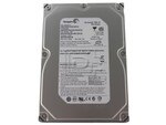 Seagate ST3750640A IDE ATA/100 Hard Drive